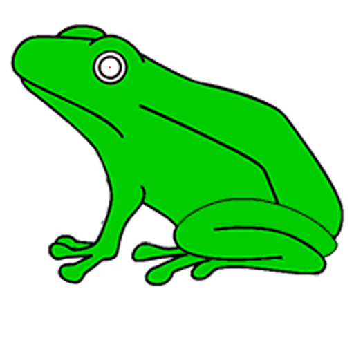 mr Froggie