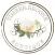 Timber Brooke Boutique