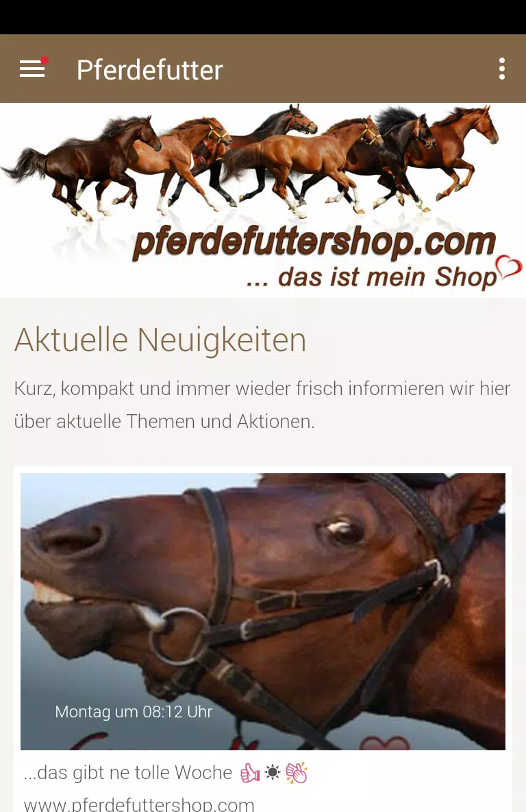 Скриншоты pferdefuttershop.com