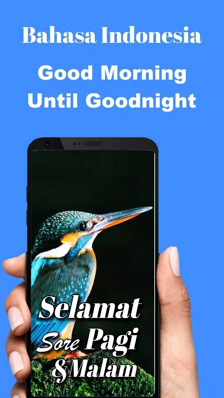 Indonesian Morning to Night Screenshots