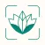 Plant Identification Diagnosis