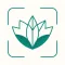 Plant Identification Diagnosis