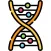 Biology Exam