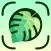 Plant Problem Identifier