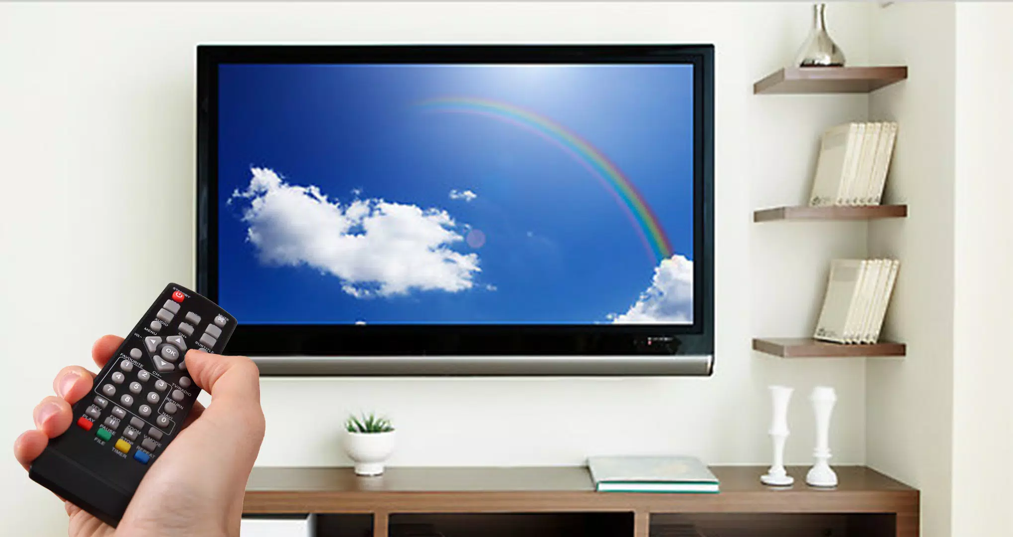 Universal Remote For All Sceptre TV Screenshots