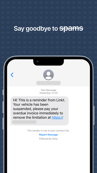 Tangkapan layar Owly - SMS Spam Blocker