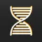 MgmtDNA