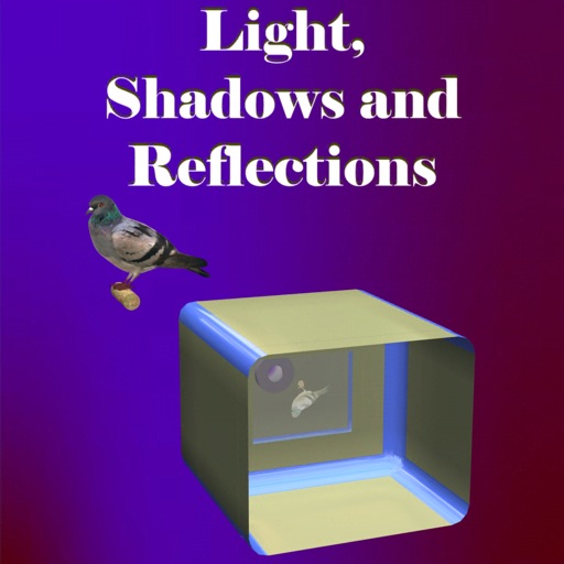 Light, Shadows and Reflections Light, Shadows and Reflections