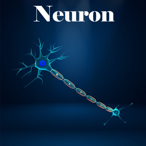 Learn Neuron Learn Neuron
