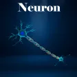 Learn Neuron