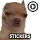 Memes Stickers WAStickerApps
