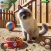 Cat Simulator Animal Life Game