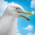 Seagull Simulator