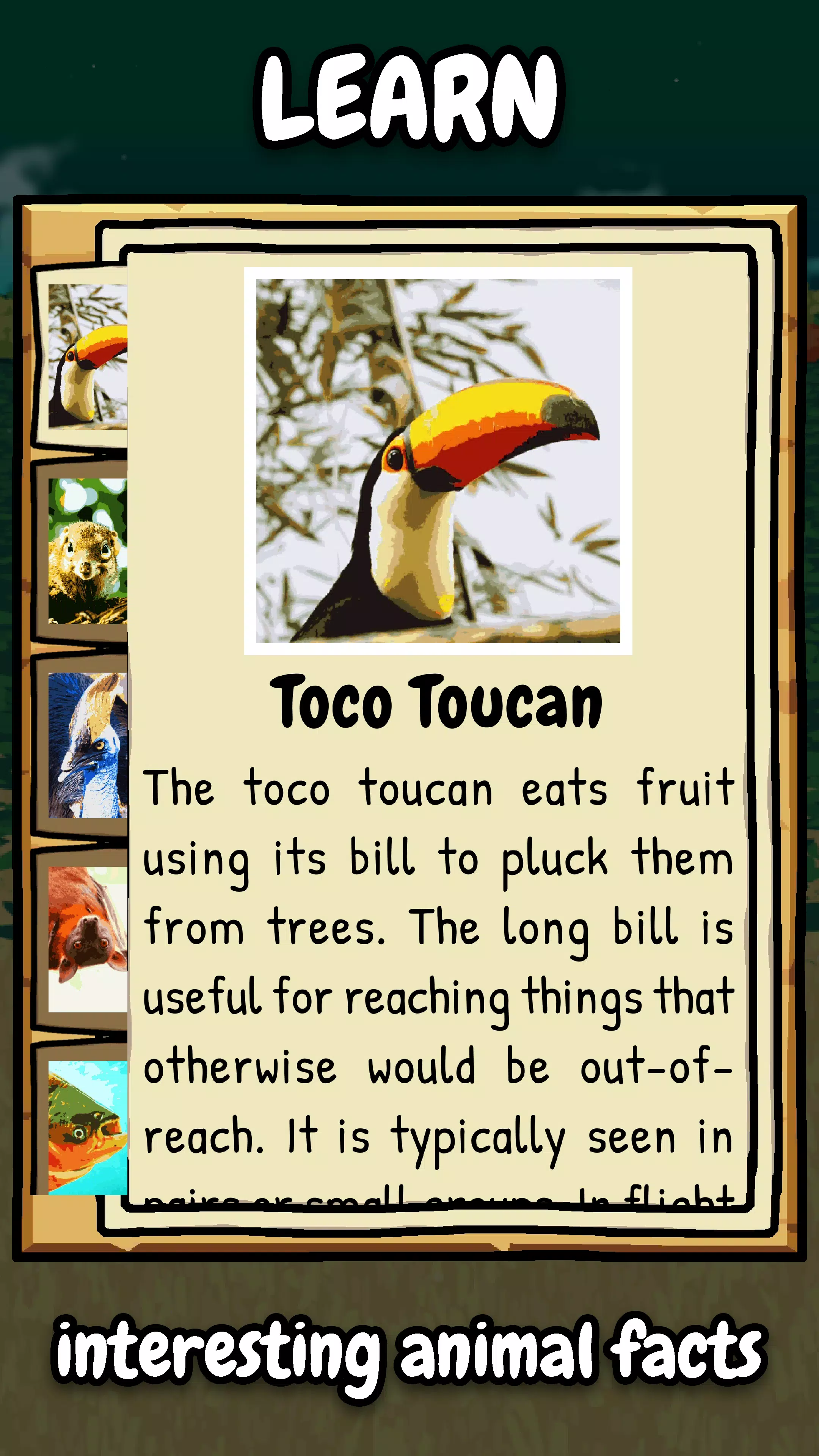 Fruity Fauna Screenshots
