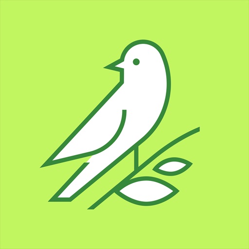 Transcribe - Voice to Text Transcribe - Voice to Text