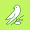 Transcribe - Voice to Text