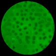 Microscope Virtual Cells Sim