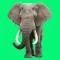Animal Sounds Voice Effects