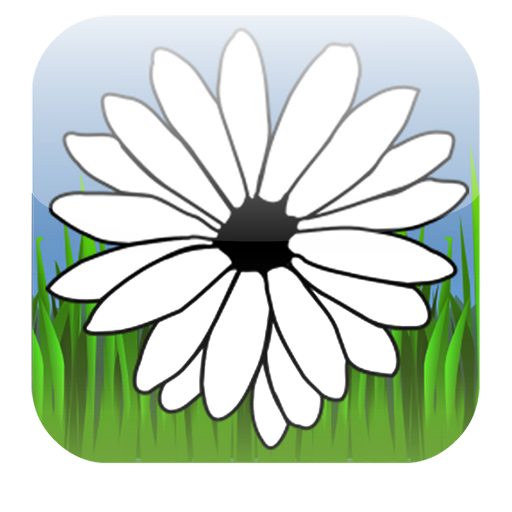 Daisy Game