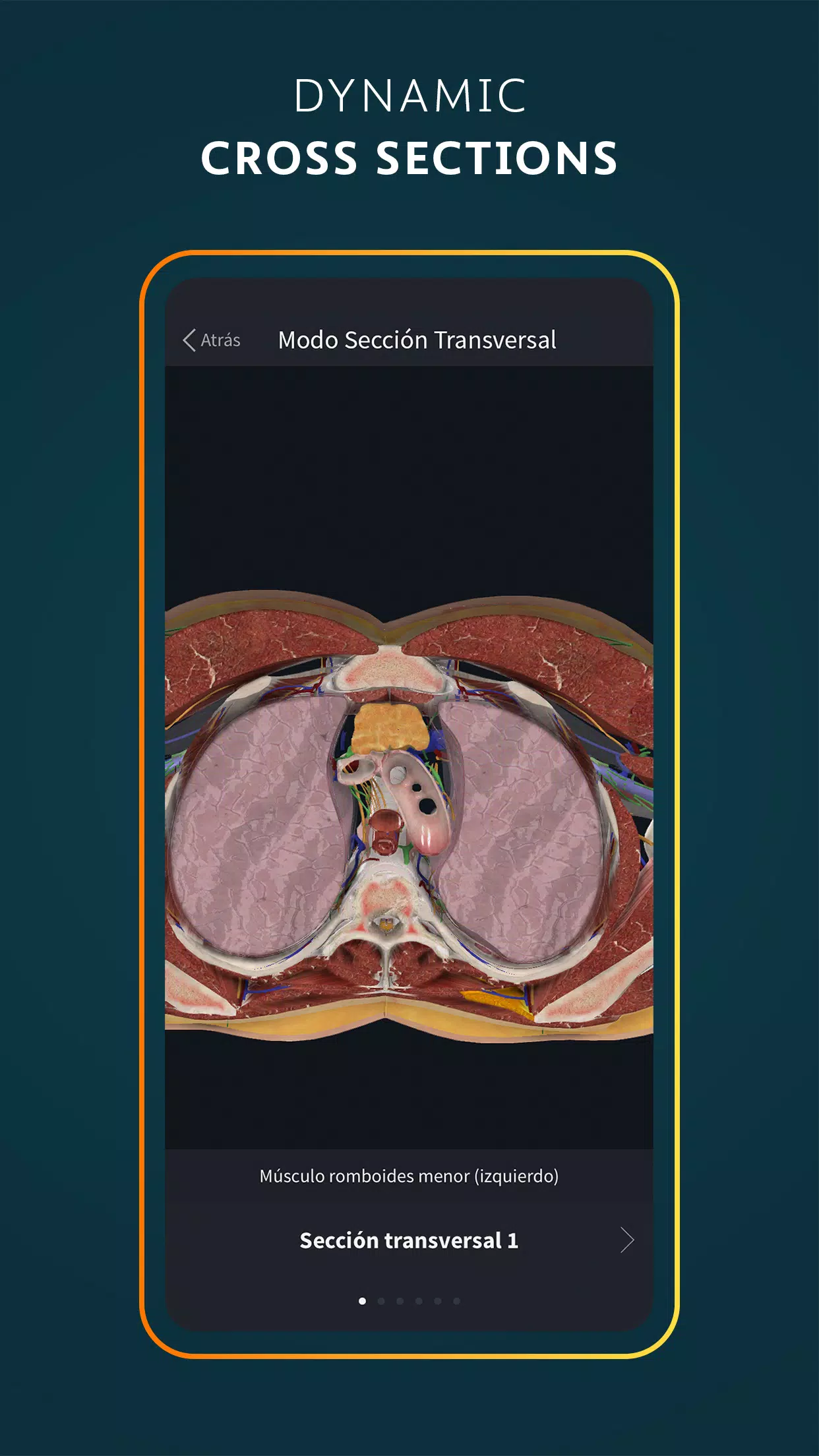 Complete Anatomy APK for Android Download - PGYER APKHUB