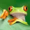 Jumping Frog - Tap Water Lily Pads