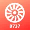B737 Pilot Trainer
