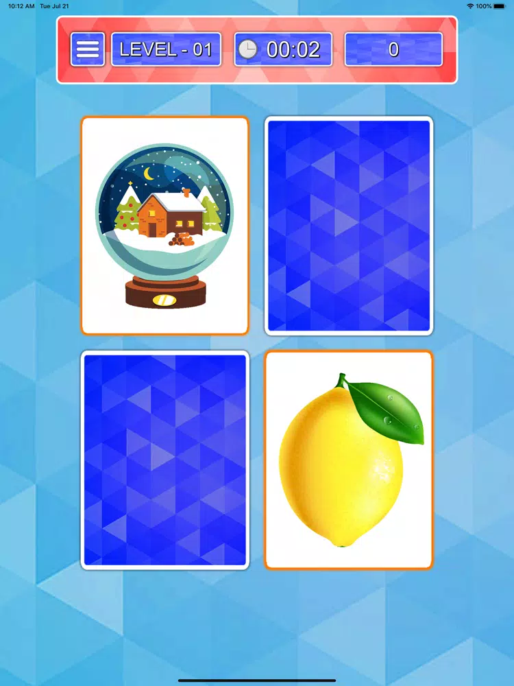 Picture Match Brain Game iPad Screenshots