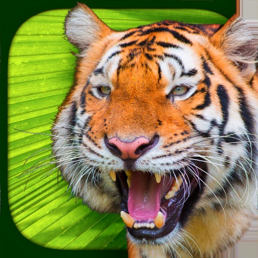 Virtual Reality Animals! Virtual Reality Animals!