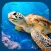 Virtual Reality OCEANS!