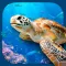 Virtual Reality OCEANS!