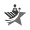 RebuStar Driver
