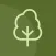 NZ Trees