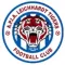 APIA Womens NPL Football