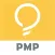 PMP Revision Aid