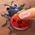 Bug Smasher Fun
