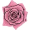 Flower Stickers Pack For iMessage