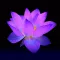 Spirituality-Mysticism