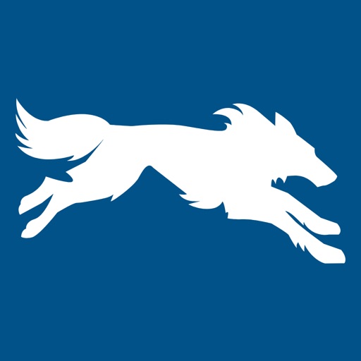 SilverWolf SilverWolf