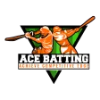 ACE Batting Scanner