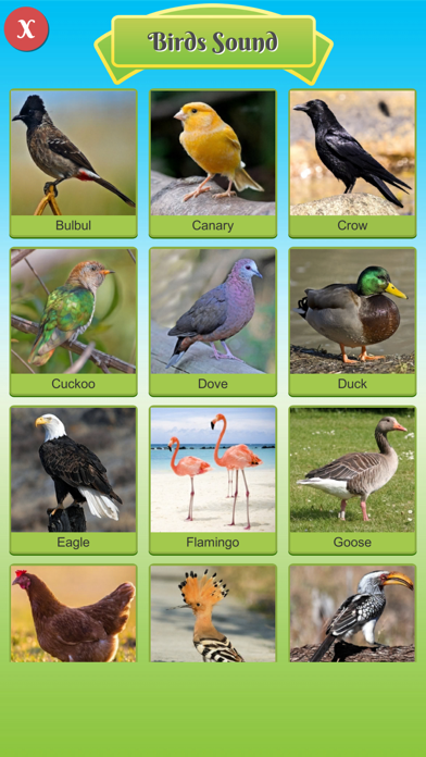 100 Animal and Bird Sound Screenshots