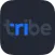 Tribe Jewish Dating App