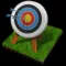 Archers Diary