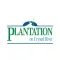 Plantation Recognition