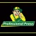 Professional Pneus