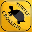 Turtle Crossing - An Animated, Interactive Storybook App