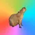 Capybara Stickers for Messages