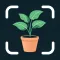 Plant Identifier: Care Tips