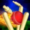 Runout Master - 3D Cricket