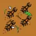 Beetle Frenzy
