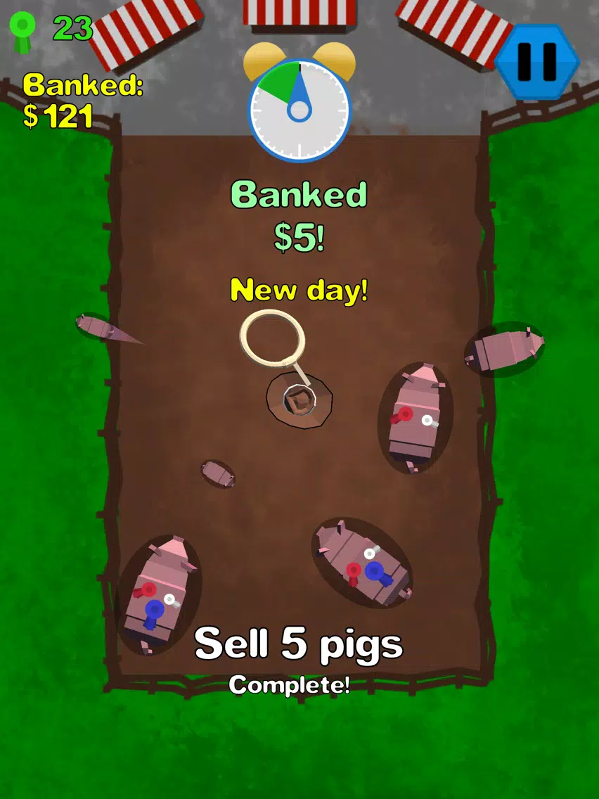 Big Pig Ranch iPad Screenshots